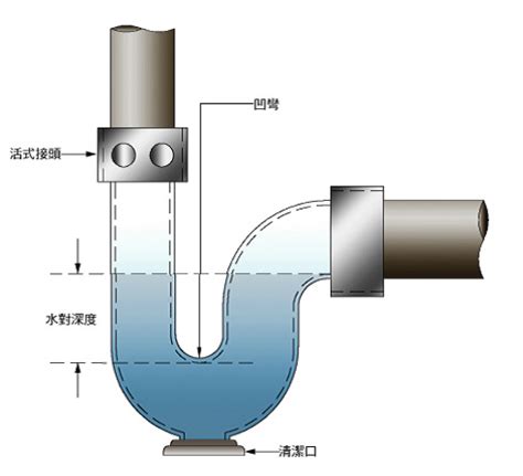 廚房排水管存水彎|杜絕蟑螂沿管線爬進屋內 排水系統一定要有「存水彎。